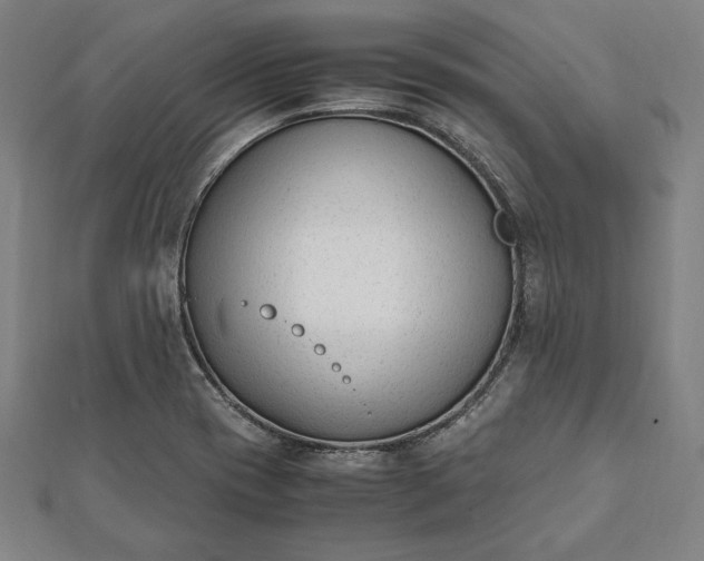 X0000112051417200908181127