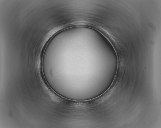 X0000112051418200908181127