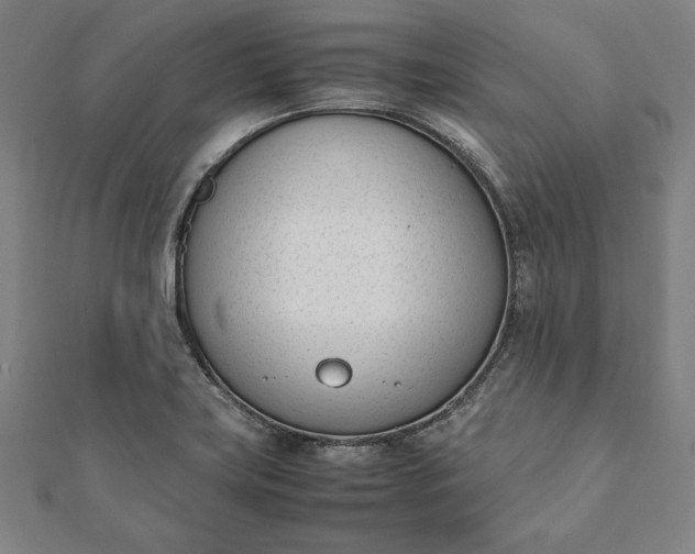 X0000112051419200908181127