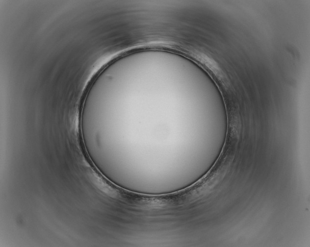 X0000112051420200908181127