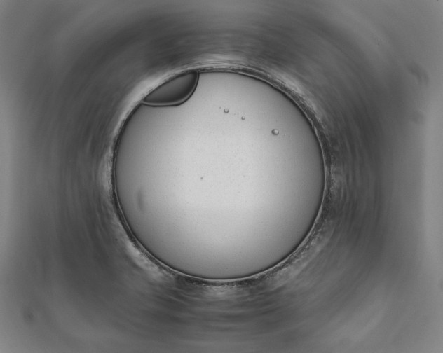 X0000112051421200908181127