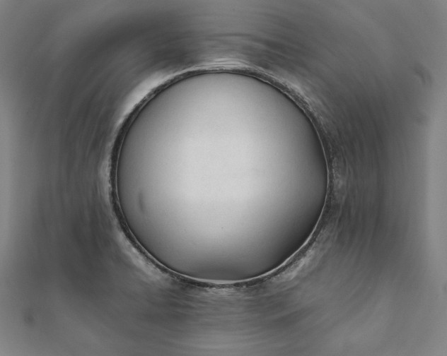 X0000112051422200908181127