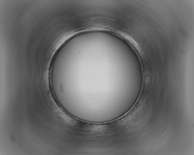 X0000112051423200908181127