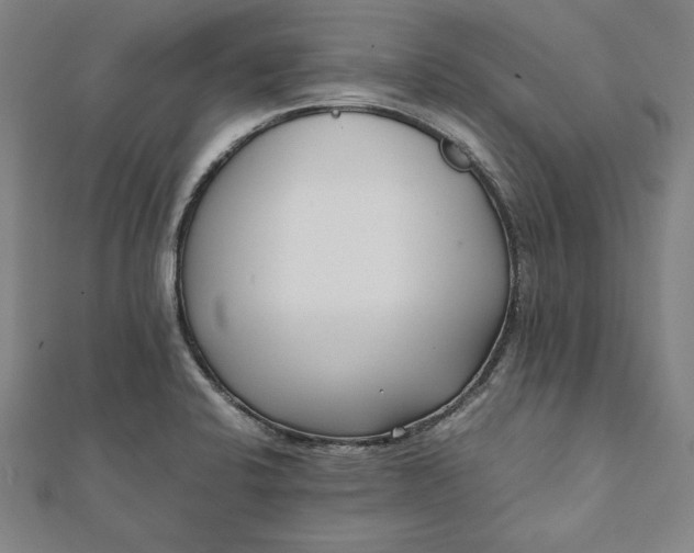 X0000112051424200908181127