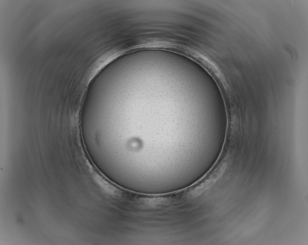 X0000112051425200908181127