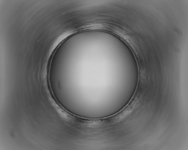 X0000112051426200908181127