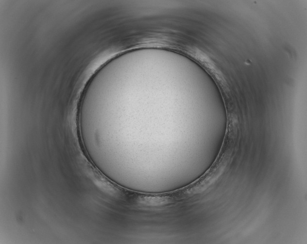 X0000112051427200908181127