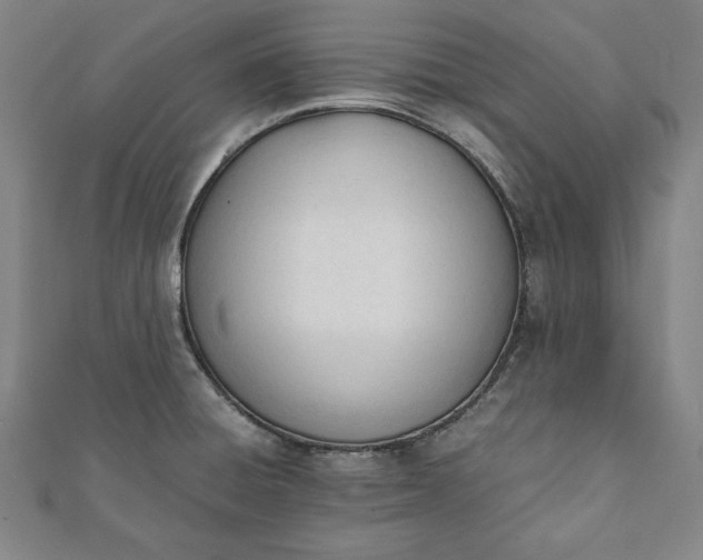 X0000112051428200908181127