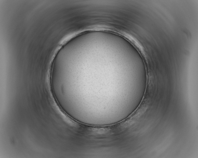 X0000112051429200908181127