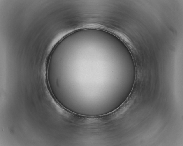 X0000112051430200908181127