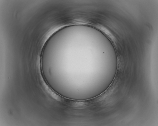 X0000112051431200908181127