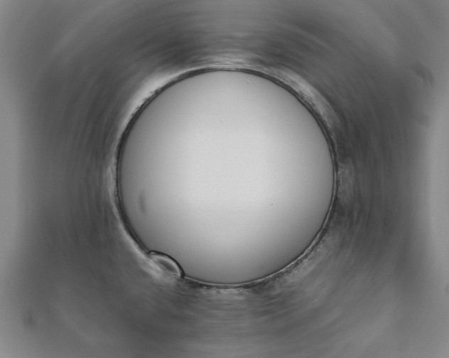 X0000112051432200908181127