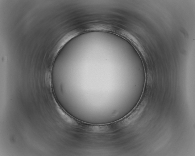 X0000112051433200908181127