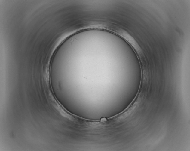 X0000112051436200908181127