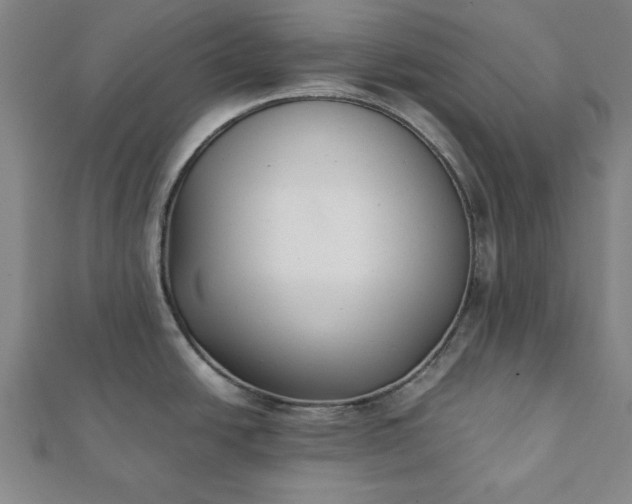 X0000112051438200908181127