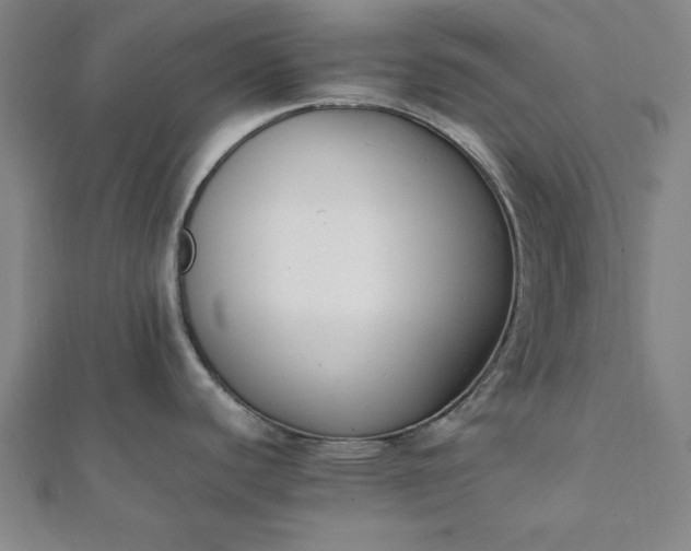 X0000112051440200908181127