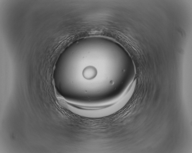 X0000112051441200908181127