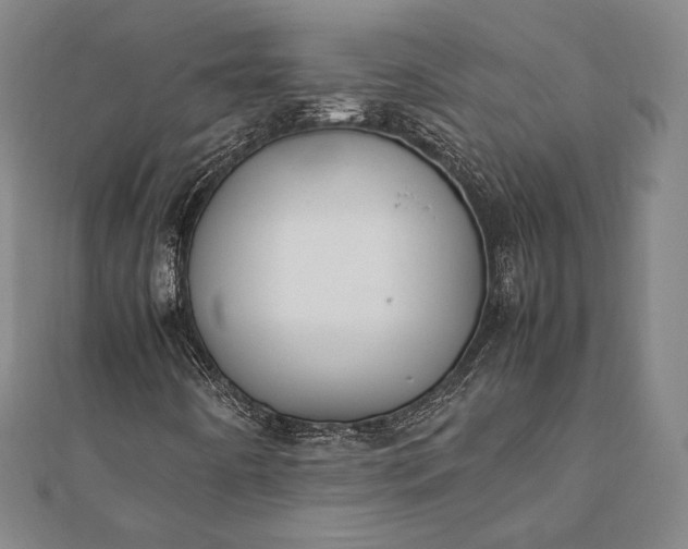 X0000112051442200908181127