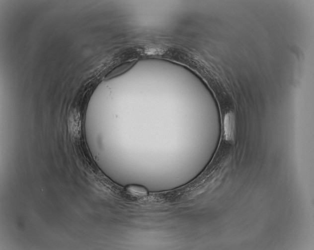 X0000112051443200908181127