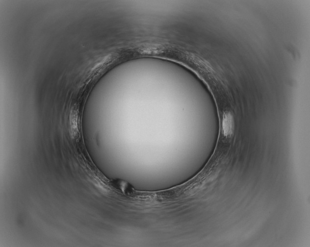 X0000112051444200908181127