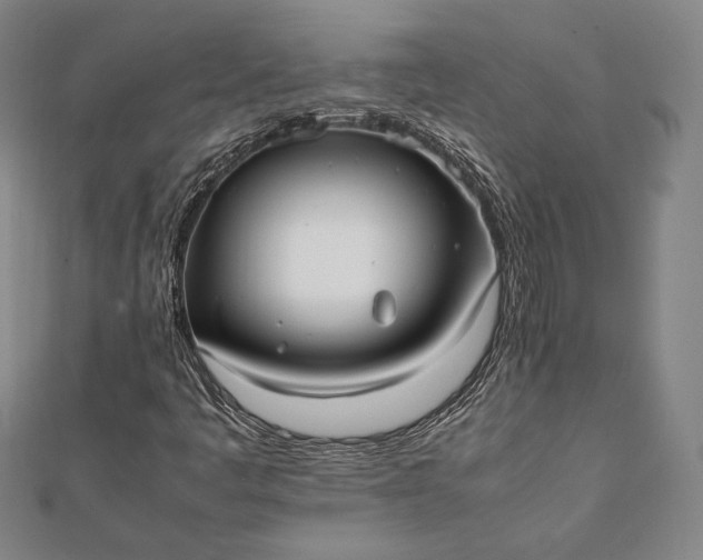 X0000112051445200908181127