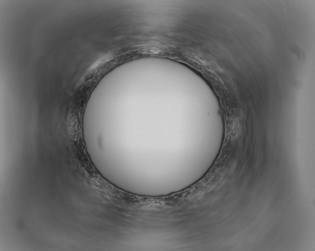 X0000112051446200908181127