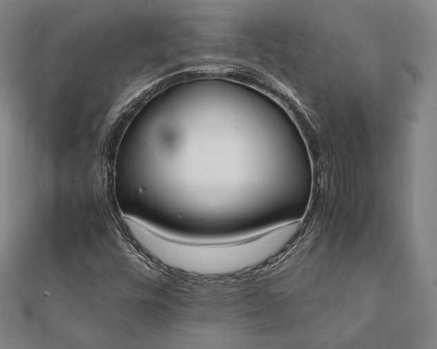 X0000112051448200908181127