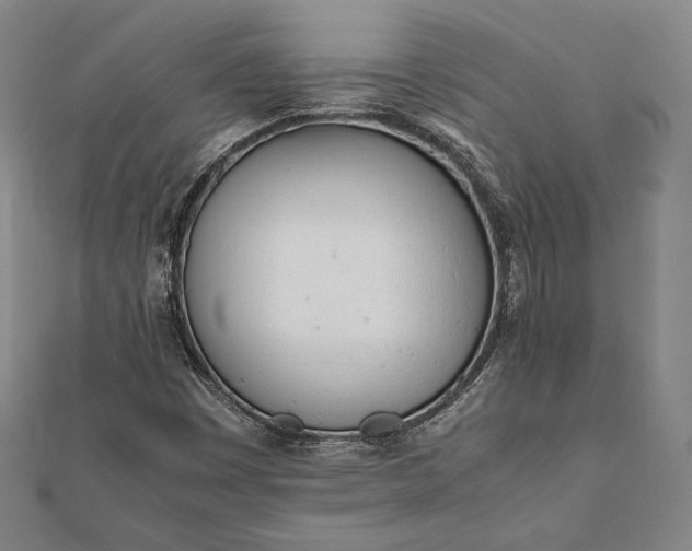 X0000112051449200908181127