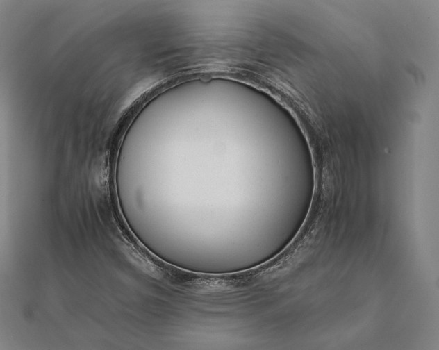 X0000112051450200908181127