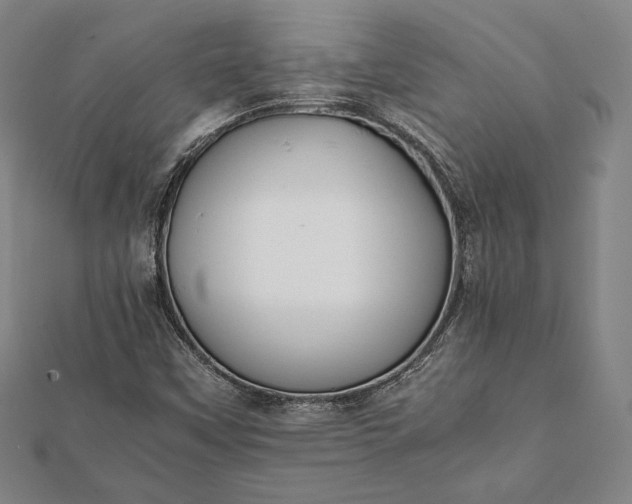 X0000112051451200908181127