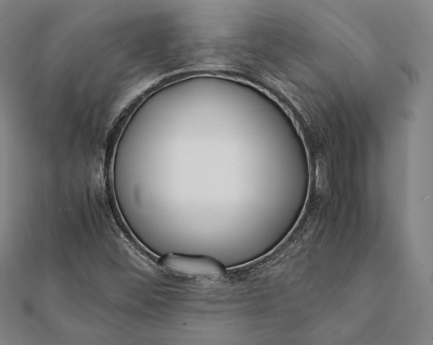 X0000112051452200908181127