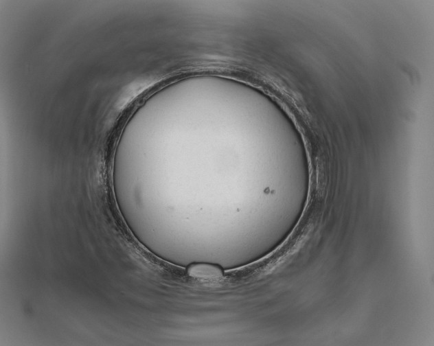 X0000112051453200908181127