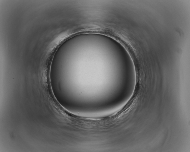 X0000112051455200908181127