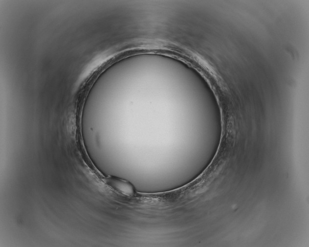 X0000112051456200908181127