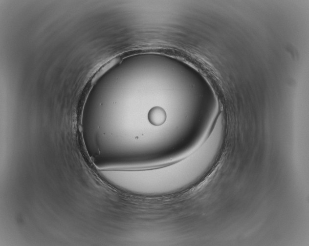 X0000112051457200908181127