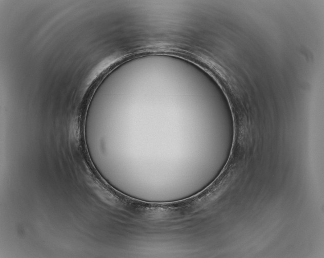 X0000112051458200908181127