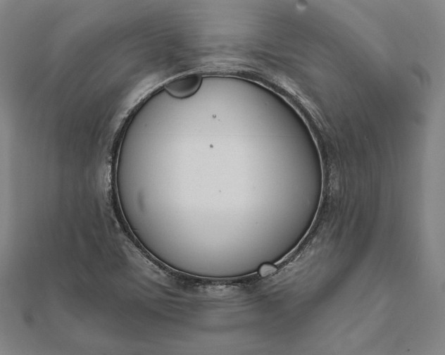 X0000112051459200908181126