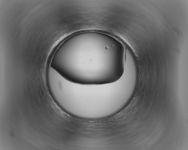 X0000112051460200908181126