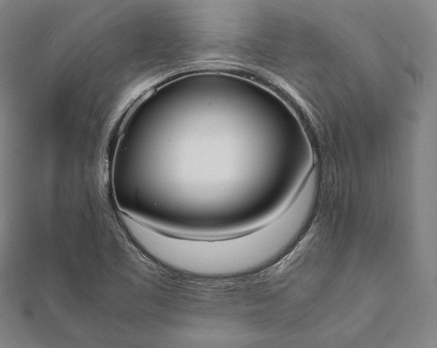 X0000112051461200908181126