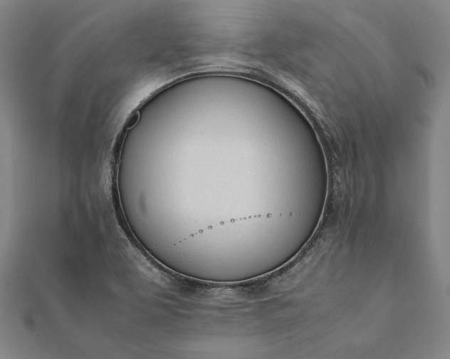 X0000112051463200908181126