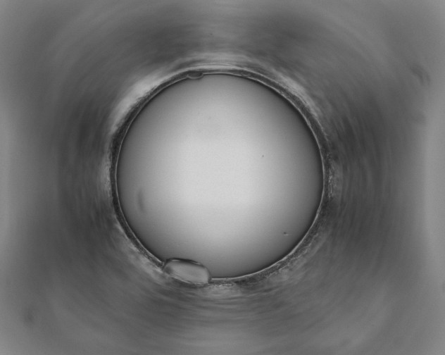 X0000112051464200908181126