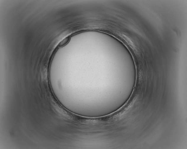 X0000112051465200908181126