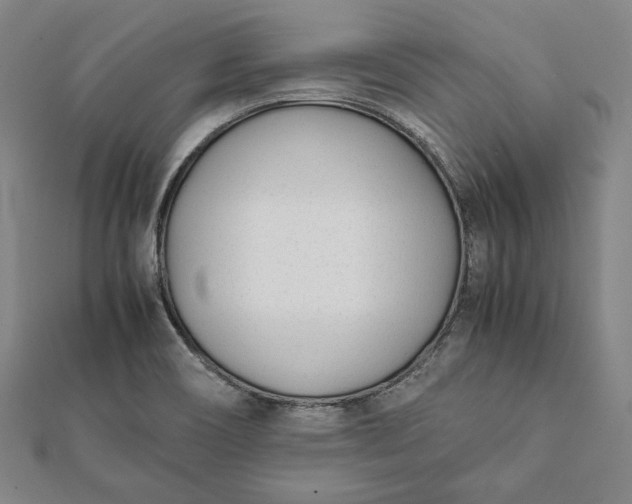 X0000112051466200908181126