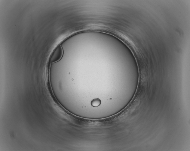 X0000112051467200908181126