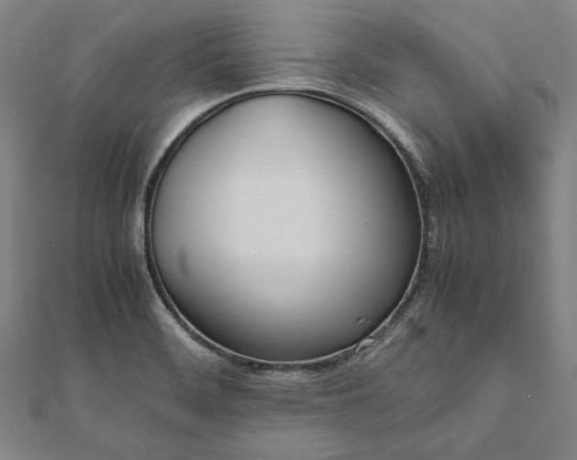 X0000112051468200908181126