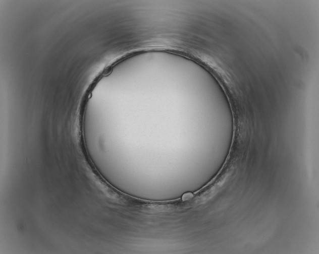 X0000112051469200908181126