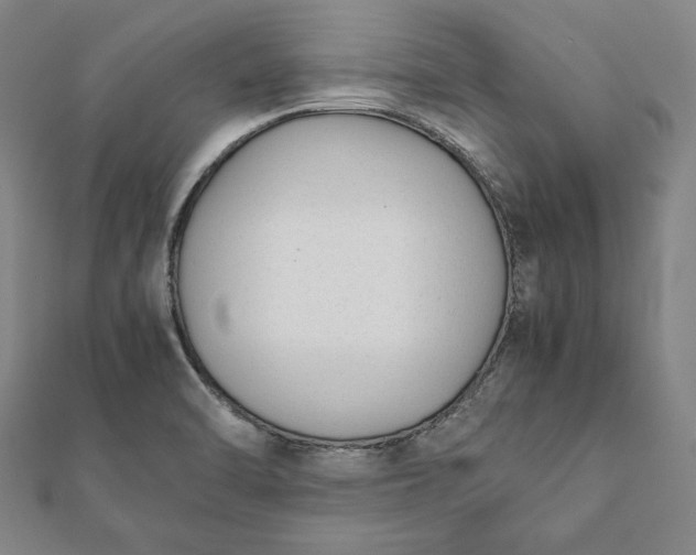 X0000112051470200908181126