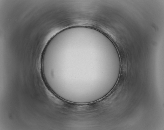 X0000112051471200908181126