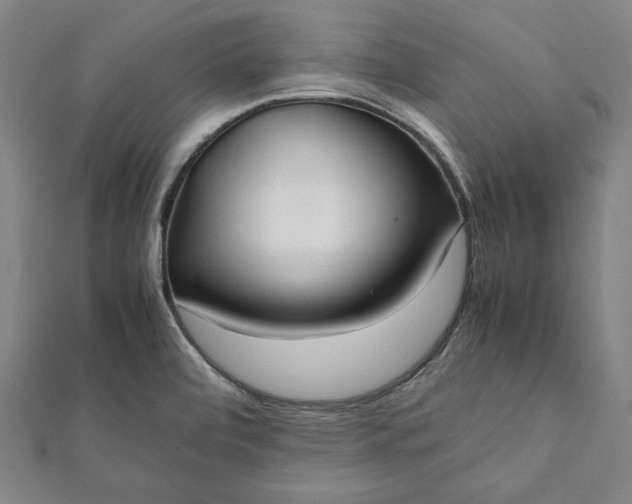 X0000112051472200908181126