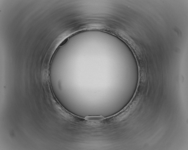 X0000112051473200908181126